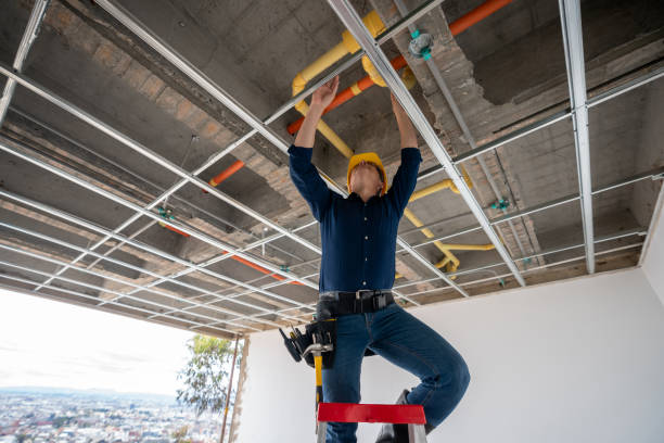 Best Affordable Plumber Near Me  in Brooklyn Park, MN