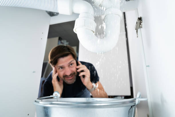 Best Plumbing Repair Near Me  in Brooklyn Park, MN