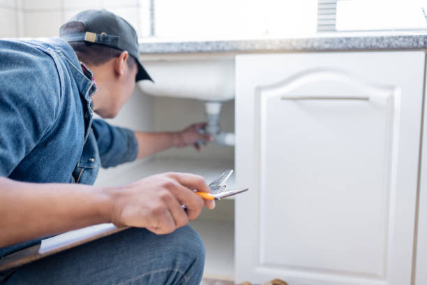 Best Septic Systems  in Brooklyn Park, MN